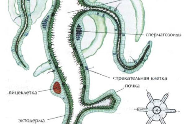 Сайт наркотиков купить