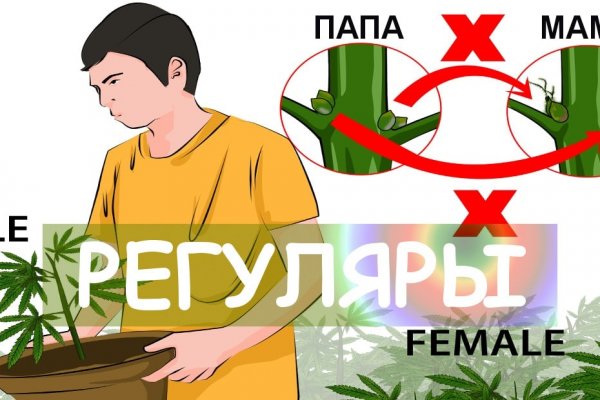 Сайт кракен тор