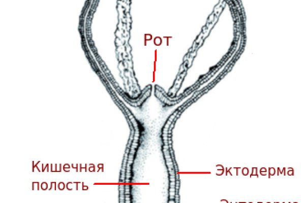 Кракен войти kraken darknet 2n com