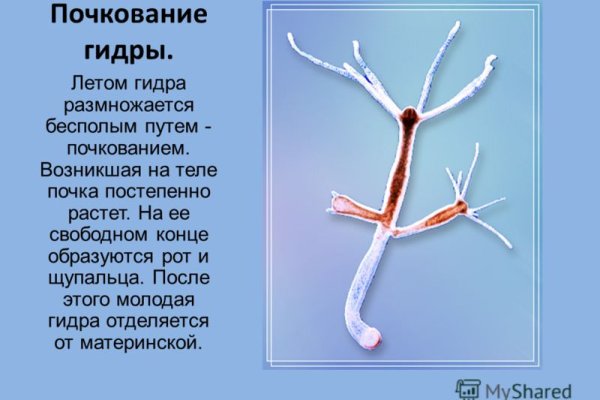 Рабочее зеркало кракен store