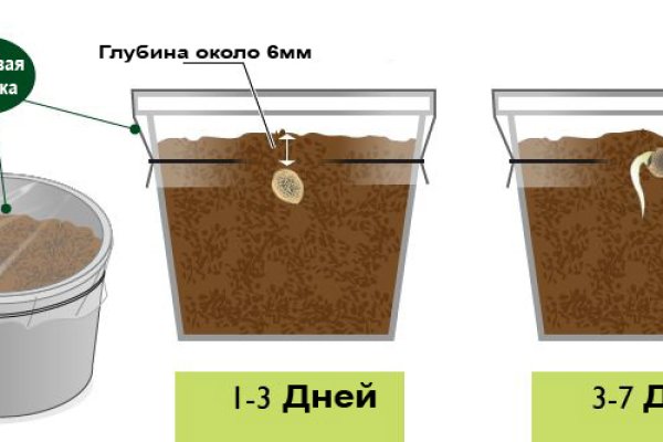 Услуги даркнета