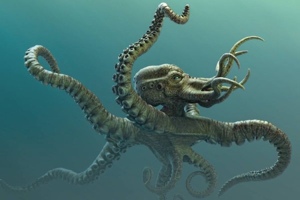 Kraken ссылка на сайт актуальная